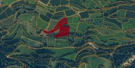 Laas/Tschengls: Obstbaufähiges Grundstück mit ca. 6.800 m² zu verkaufen