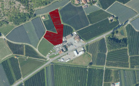 Naturns: Obstwiese mit ca. 7.000 m² zu verkaufen