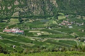 Kastelbell / Galsaun: Obstwiese mit ca. 3.800 m² zu verkaufen