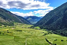 Taufers im Münstertal: Landwirtschaftliches Grundstück zu verkaufen