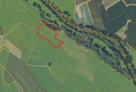 Mals/Laatsch: Futterwiese mit ca. 3.770 m² zu verkaufen