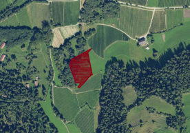 Laas: Landwirtschaftliches Grundstück mit ca. 6.000 m² zu verkaufen