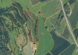 Prad am Stilfserjoch/Lichtenberg: Landwirtschaftliches Grundstück mit ca. 5.500 m² und Garage zu verkaufen