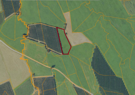 Glurns: Landwirtschaftliches Grundstück mit ca. 1.800 m² zu verkaufen