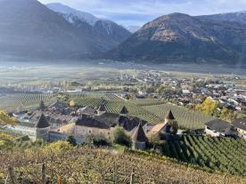 Latsch/Goldrain: Weingut mit ca. 7.200 m² in herrlicher Lage am Sonnenberg zu verkaufen