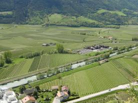 Tabland: Obstwiese mit ca. 1.750 m² zu verkaufen