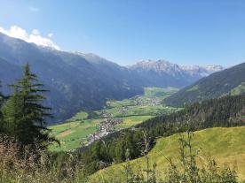 Taufers im Münstertal: Futterwiese mit ca. 590 m² zu verkaufen