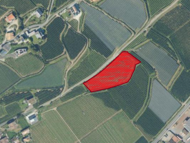 Kastelbell-Tschars: Obstwiese mit ca. 5.000 m² zu verkaufen