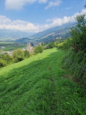 Schluderns: Landwirtschaftliches Grundstück mit ca. 4.300 m² zu verkaufen