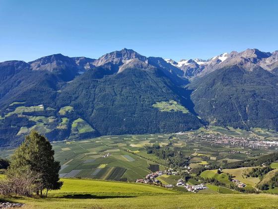 Laas: Landwirtschaftliches Grundstück mit ca. 6.000 m² zu verkaufen